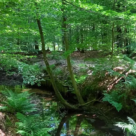Boshof 8, Parel Op De Veluwe!