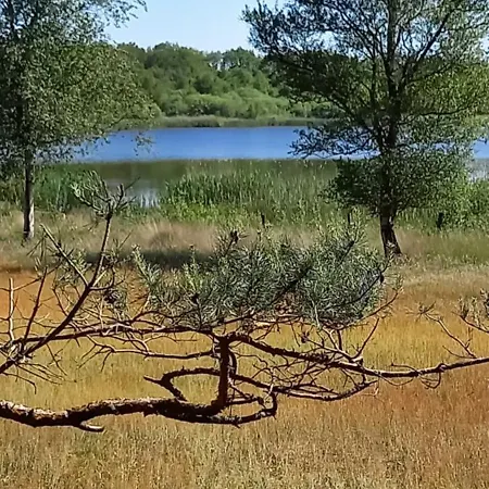 Boshof 8, Parel Op De Veluwe! Vakantiehuis