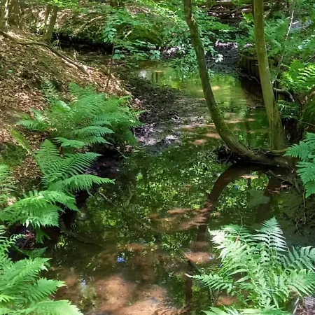 Vakantiehuis Boshof 8, Parel Op De Veluwe! Ermelo
