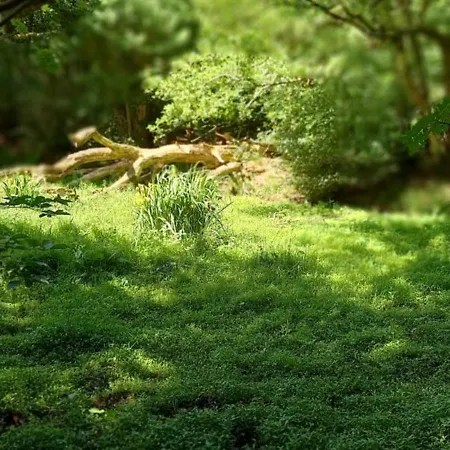 Boshof 8, Parel Op De Veluwe! Ermelo