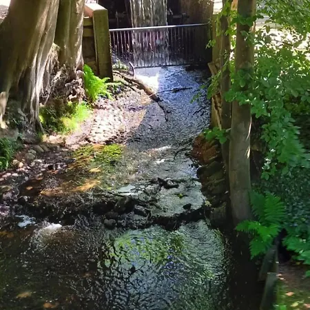 Vakantiehuis Boshof 8, Parel Op De Veluwe! Ermelo