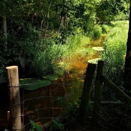 Boshof 8, Parel Op De Veluwe! * Ermelo