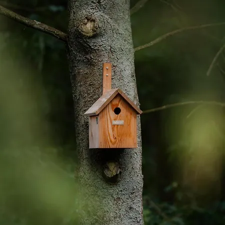 Holiday home Boshof 8, Parel Op De Veluwe!